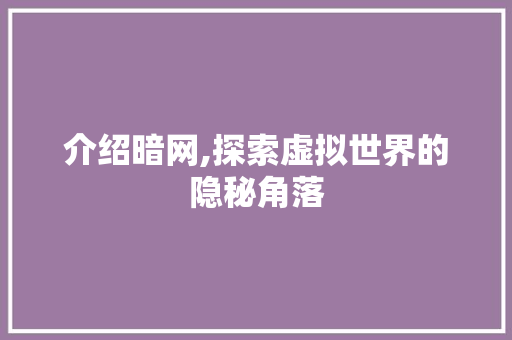 介绍暗网,探索虚拟世界的隐秘角落