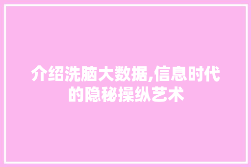 介绍洗脑大数据,信息时代的隐秘操纵艺术 GoogleSEO