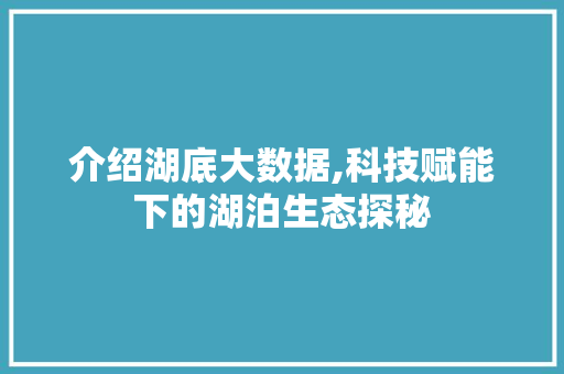 介绍湖底大数据,科技赋能下的湖泊生态探秘 百度SEO