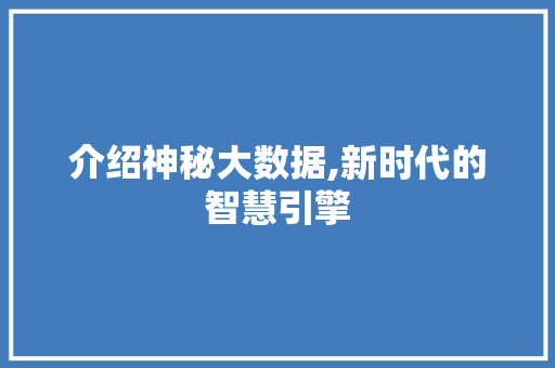 介绍神秘大数据,新时代的智慧引擎 必应SEO