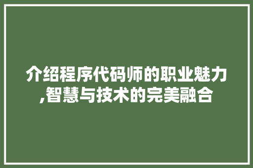 介绍程序代码师的职业魅力,智慧与技术的完美融合 GoogleSEO