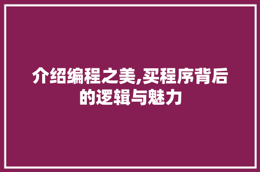 介绍编程之美,买程序背后的逻辑与魅力 GoogleSEO