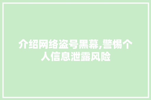 介绍网络盗号黑幕,警惕个人信息泄露风险