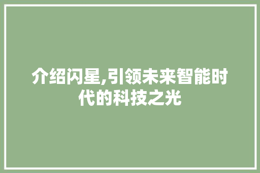 介绍闪星,引领未来智能时代的科技之光 神马SEO