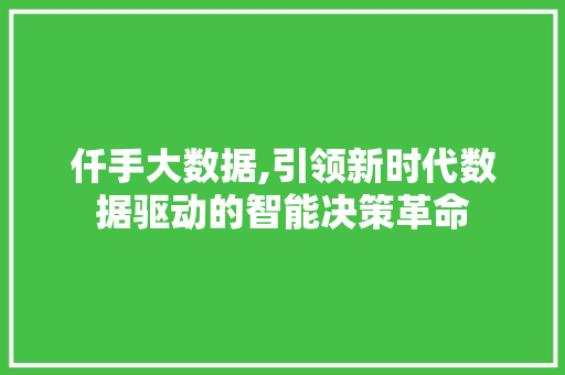 仟手大数据,引领新时代数据驱动的智能决策革命 神马SEO