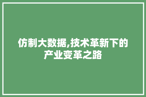 仿制大数据,技术革新下的产业变革之路 必应SEO