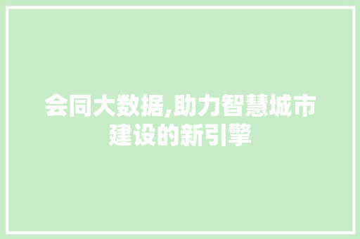 会同大数据,助力智慧城市建设的新引擎 神马SEO