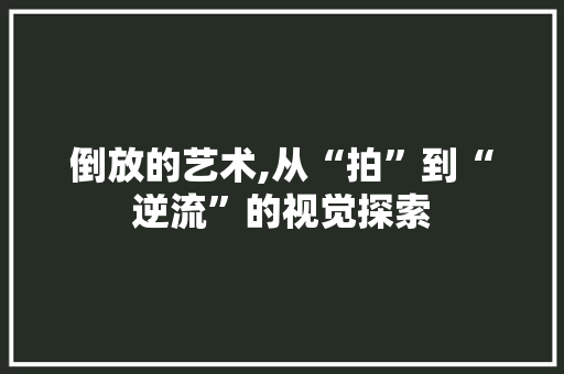 倒放的艺术,从“拍”到“逆流”的视觉探索 神马SEO
