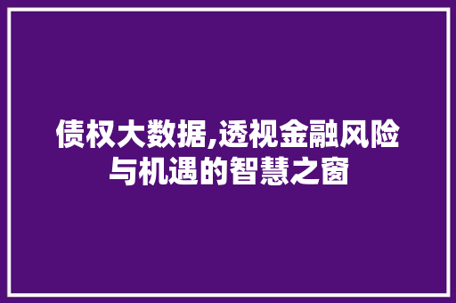 债权大数据,透视金融风险与机遇的智慧之窗 必应SEO