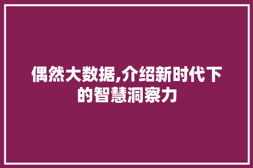偶然大数据,介绍新时代下的智慧洞察力 神马SEO