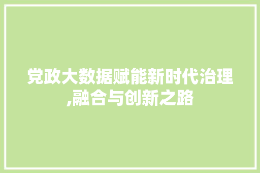 党政大数据赋能新时代治理,融合与创新之路