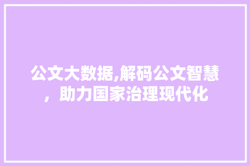 公文大数据,解码公文智慧，助力国家治理现代化 神马SEO