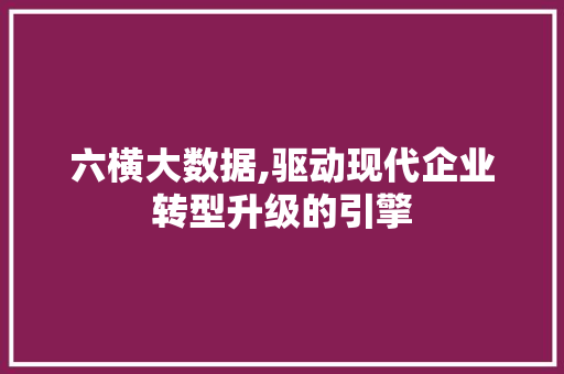 六横大数据,驱动现代企业转型升级的引擎 GoogleSEO