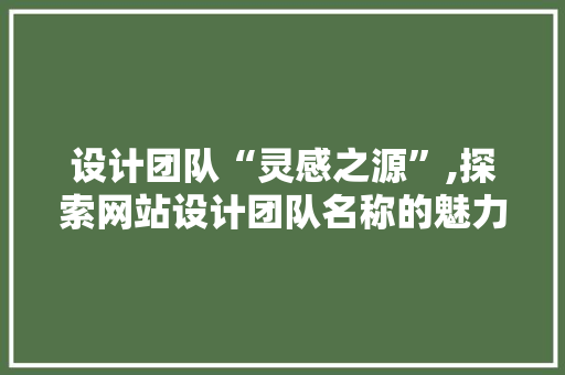 设计团队“灵感之源”,探索网站设计团队名称的魅力与价值