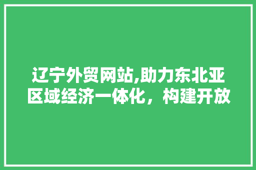 辽宁外贸网站,助力东北亚区域经济一体化，构建开放型经济新格局
