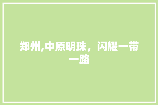 郑州,中原明珠，闪耀一带一路 郑州,中原明珠，闪耀一带一路 神马SEO