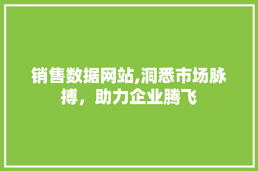 销售数据网站,洞悉市场脉搏，助力企业腾飞 销售数据网站,洞悉市场脉搏，助力企业腾飞 搜狗SEO