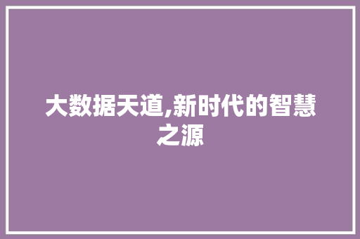 大数据天道,新时代的智慧之源 百度SEO