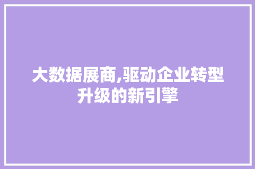 大数据展商,驱动企业转型升级的新引擎 必应SEO