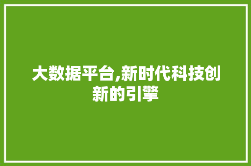 大数据平台,新时代科技创新的引擎 必应SEO