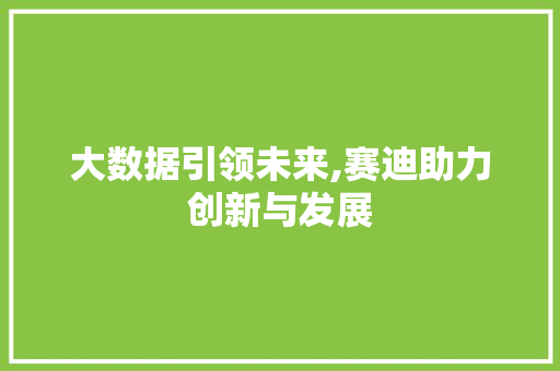 大数据引领未来,赛迪助力创新与发展 神马SEO