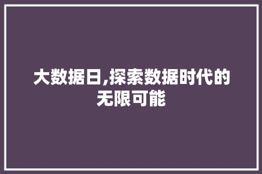 大数据日,探索数据时代的无限可能 GoogleSEO