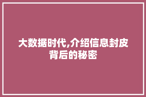 大数据时代,介绍信息封皮背后的秘密 必应SEO