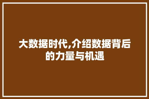 大数据时代,介绍数据背后的力量与机遇 必应SEO