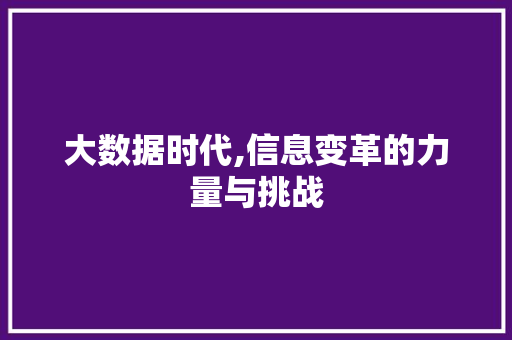 大数据时代,信息变革的力量与挑战 GoogleSEO