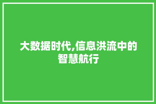 大数据时代,信息洪流中的智慧航行 必应SEO