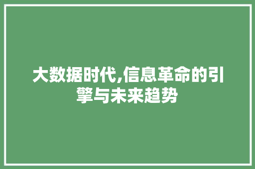 大数据时代,信息革命的引擎与未来趋势 神马SEO