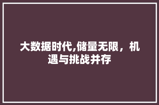 大数据时代,储量无限，机遇与挑战并存 百度SEO