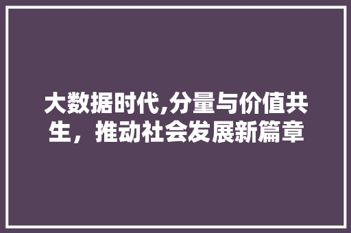 大数据时代,分量与价值共生，推动社会发展新篇章 GoogleSEO
