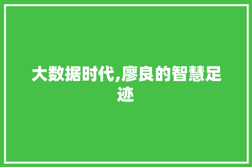 大数据时代,廖良的智慧足迹 GoogleSEO