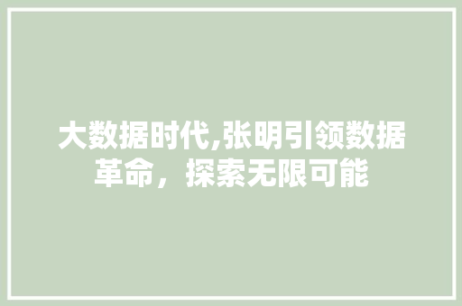 大数据时代,张明引领数据革命，探索无限可能 百度SEO