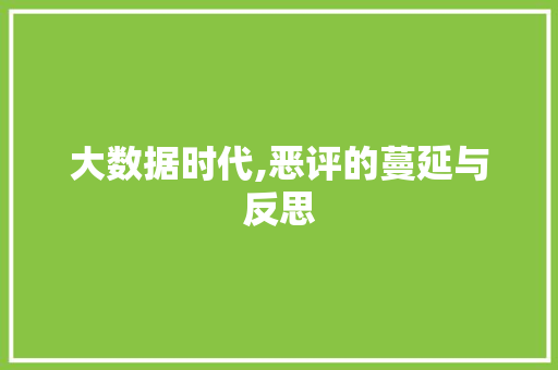 大数据时代,恶评的蔓延与反思 神马SEO