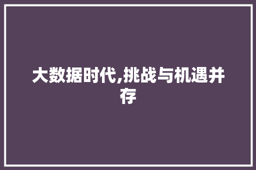 大数据时代,挑战与机遇并存 必应SEO