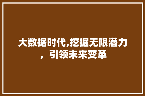 大数据时代,挖掘无限潜力，引领未来变革 必应SEO
