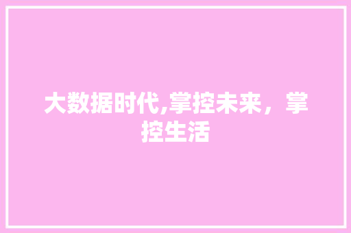 大数据时代,掌控未来，掌控生活 神马SEO