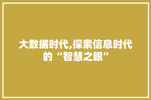 大数据时代,探索信息时代的“智慧之眼”