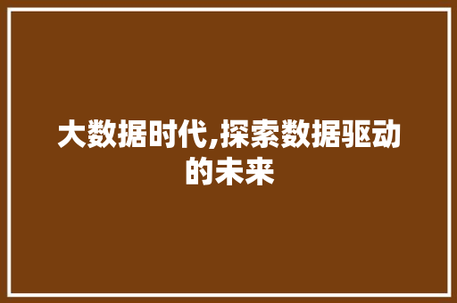 大数据时代,探索数据驱动的未来