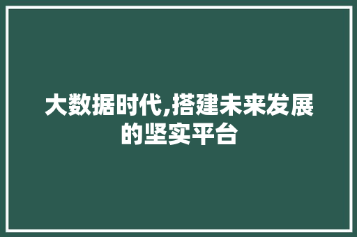 大数据时代,搭建未来发展的坚实平台