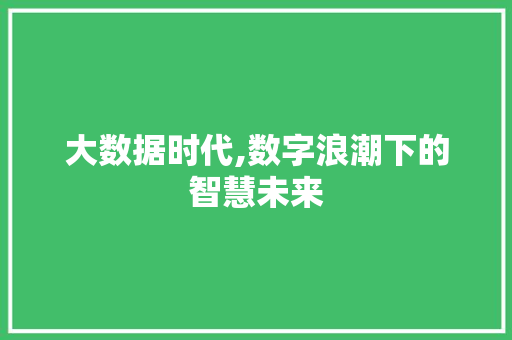 大数据时代,数字浪潮下的智慧未来