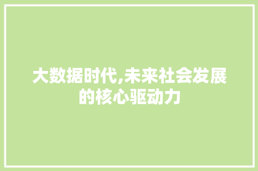 大数据时代,未来社会发展的核心驱动力 百度SEO
