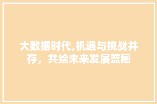 大数据时代,机遇与挑战并存，共绘未来发展蓝图 GoogleSEO