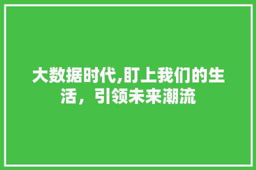 大数据时代,盯上我们的生活，引领未来潮流 GoogleSEO