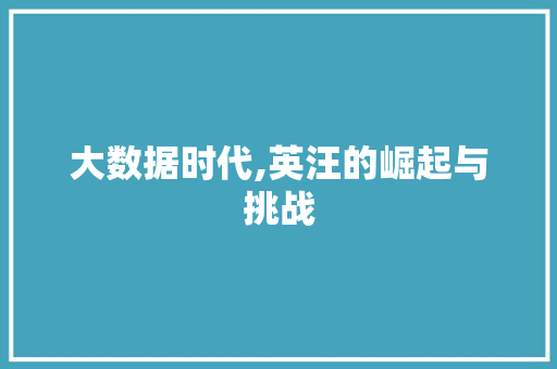 大数据时代,英汪的崛起与挑战