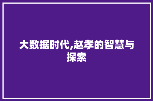 大数据时代,赵孝的智慧与探索 搜狗SEO