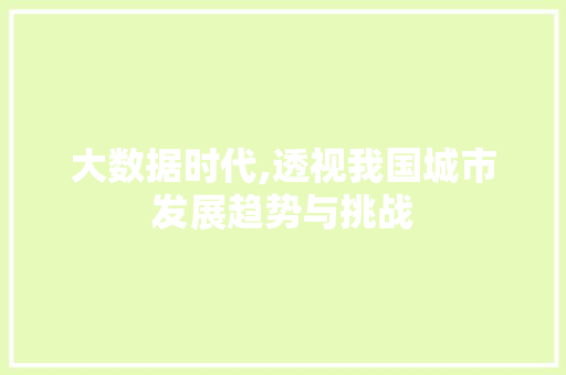 大数据时代,透视我国城市发展趋势与挑战 百度SEO