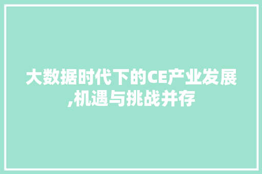 大数据时代下的CE产业发展,机遇与挑战并存 GoogleSEO